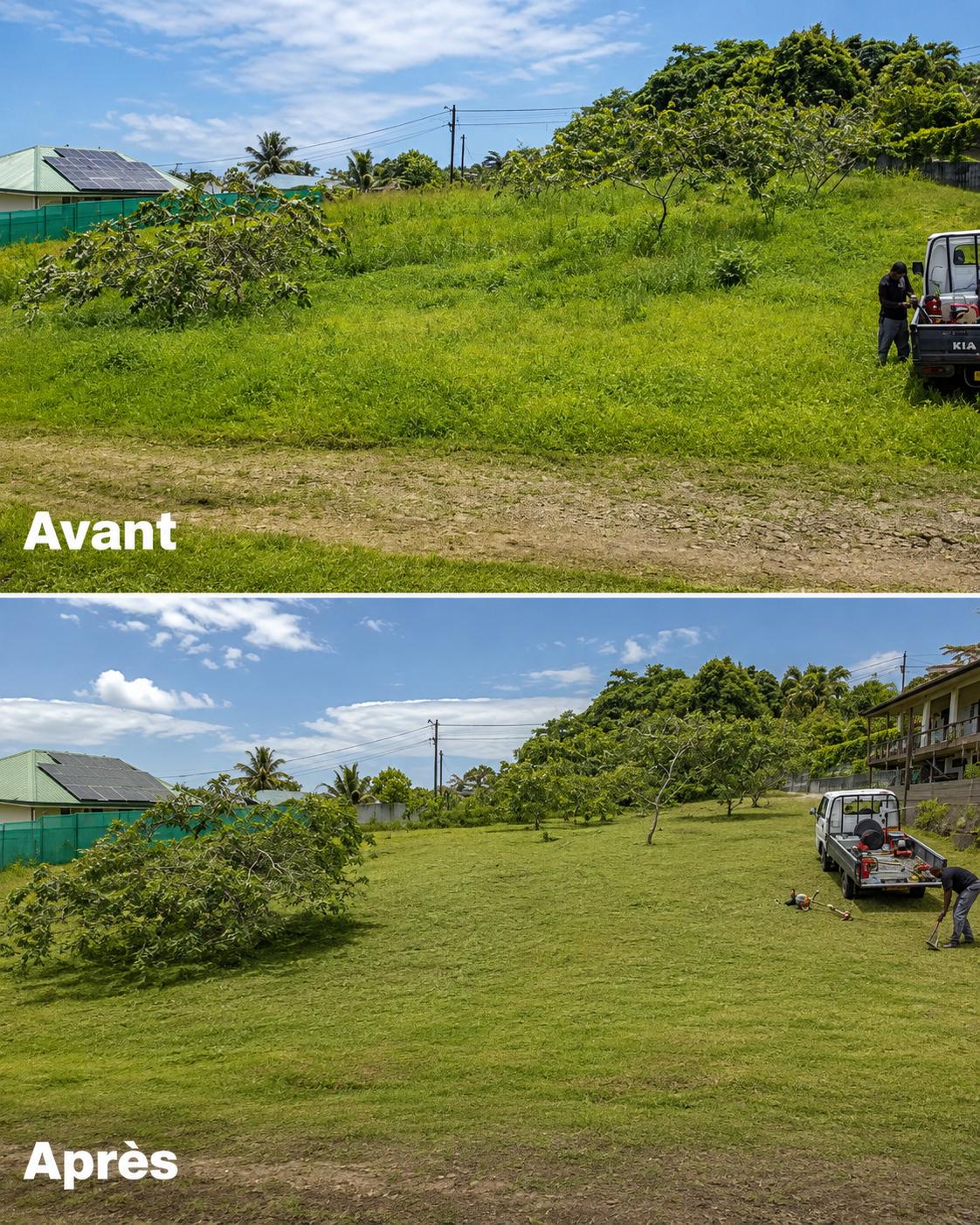 Avant et après le nettoyage d’un grand terrain à Tahiti