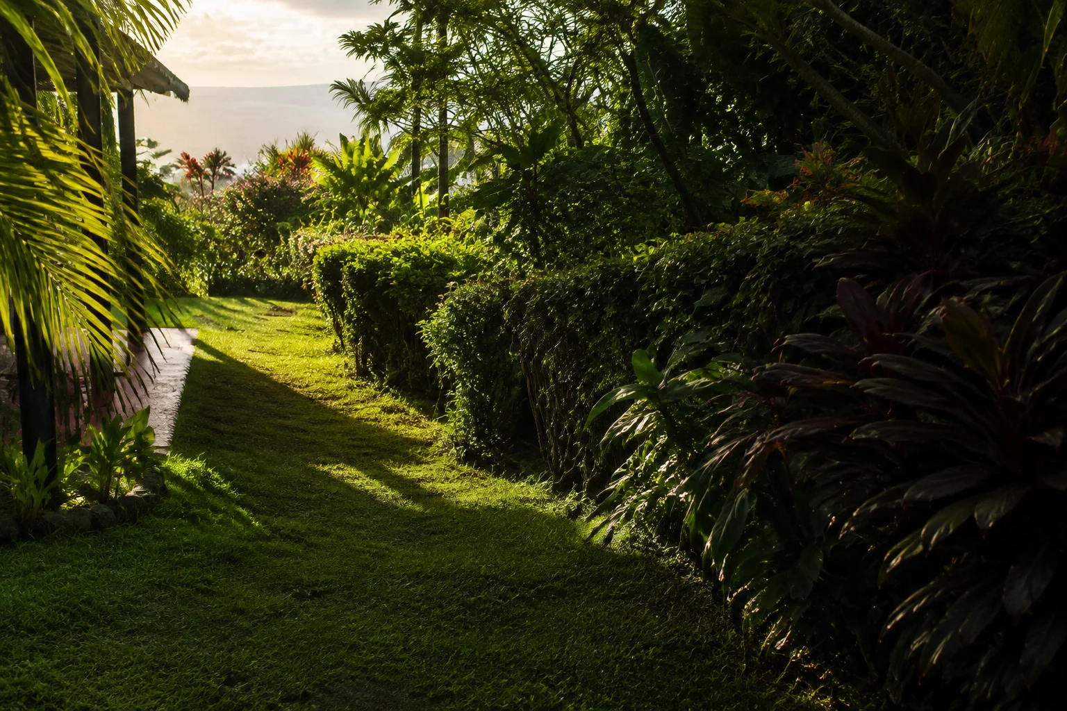 Illustration d’ambiance d’un jardin tropical entretenu à Tahiti
